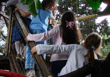 Happy Park, Salón de Fiestas con Soga